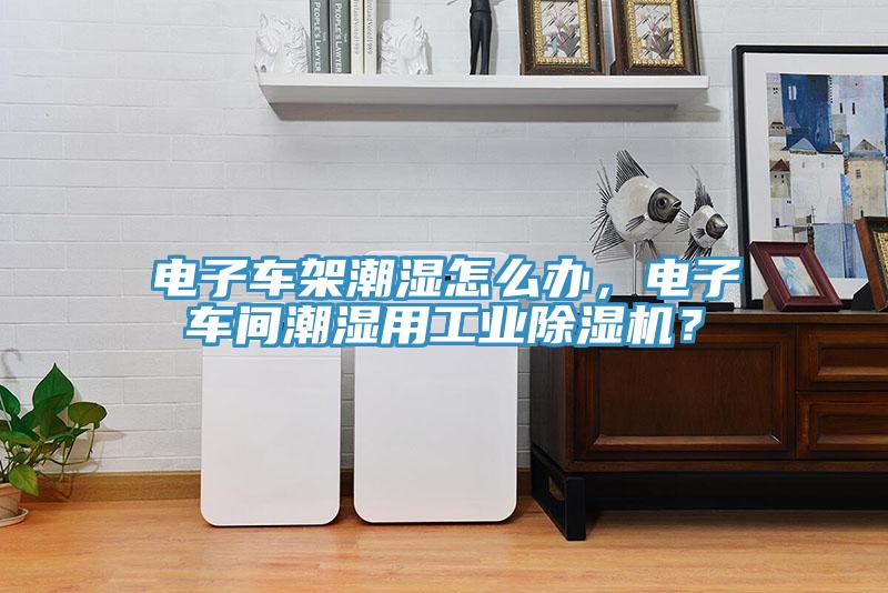 電子車架潮濕怎么辦,電子車間潮濕用工業(yè)除濕機(jī)?