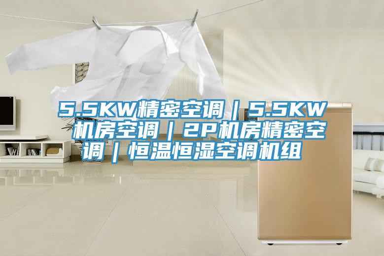 5.5KW精密空調｜5.5KW 機房空調｜2P機房精密空調｜恒溫恒濕空調機組