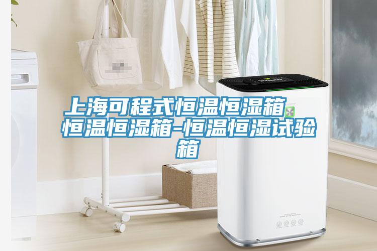 上海可程式恒溫恒濕箱 恒溫恒濕箱-恒溫恒濕試驗箱
