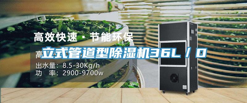 立式管道型除濕機(jī)36L／D