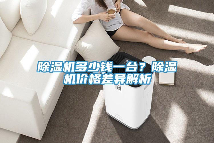 除濕機多少錢一臺？除濕機價格差異解析