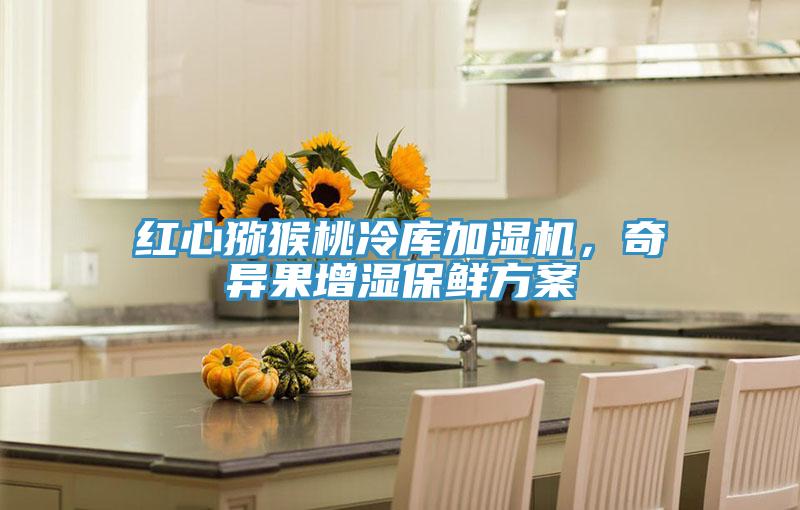 紅心獼猴桃冷庫加濕機，奇異果增濕保鮮方案