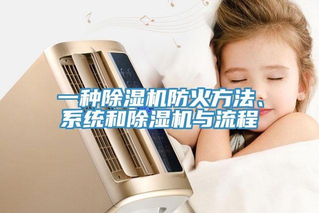 一種除濕機(jī)防火方法、系統(tǒng)和除濕機(jī)與流程