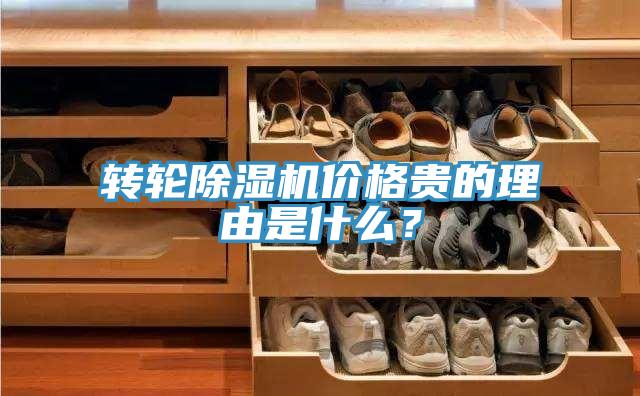 轉(zhuǎn)輪除濕機(jī)價格貴的理由是什么？