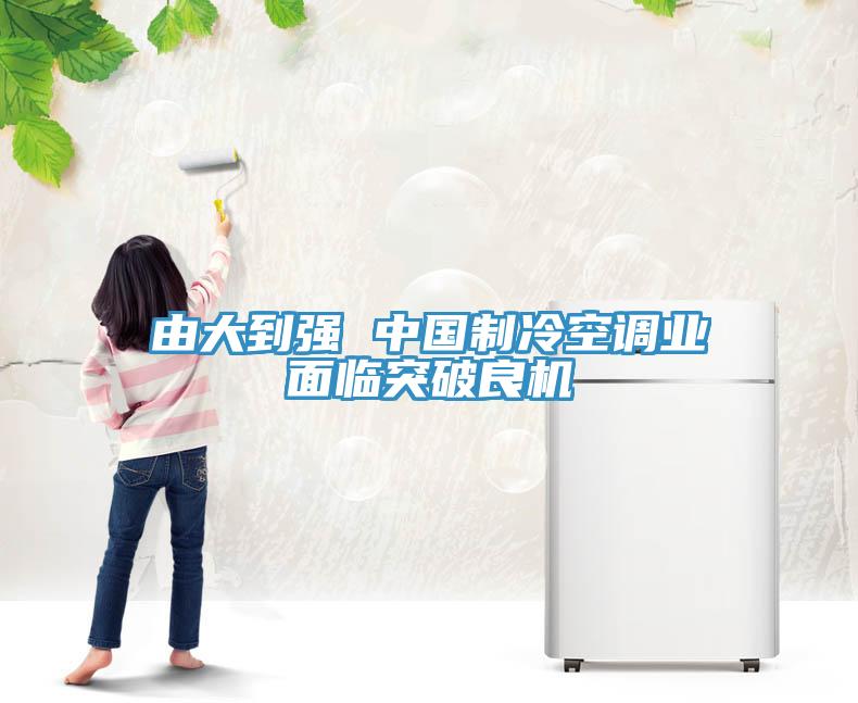由大到強(qiáng) 中國(guó)制冷空調(diào)業(yè)面臨突破良機(jī)