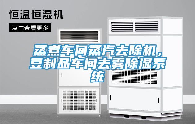 蒸煮車間蒸汽去除機(jī)，豆制品車間去霧除濕系統(tǒng)