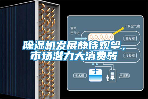除濕機(jī)發(fā)展靜待觀望,市場(chǎng)潛力大消費(fèi)弱