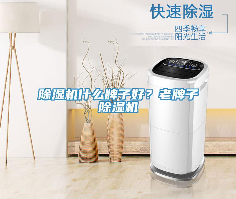 除濕機什么牌子好？老牌子除濕機