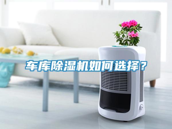 車庫除濕機(jī)如何選擇？
