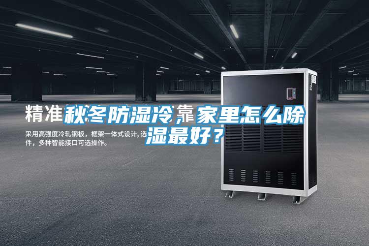 秋冬防濕冷，家里怎么除濕最好？