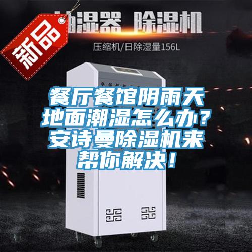 餐廳餐館陰雨天地面潮濕怎么辦？安詩曼除濕機(jī)來幫你解決！
