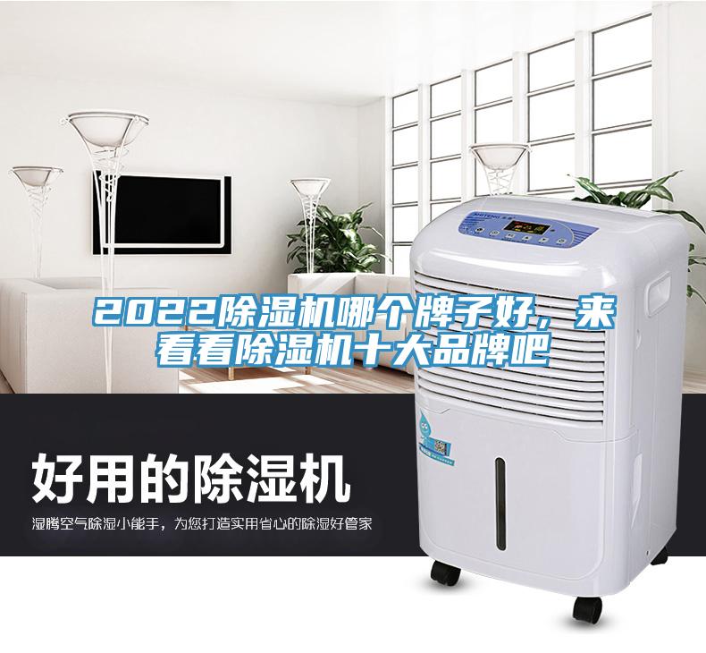 2022除濕機哪個牌子好，來看看除濕機十大品牌吧