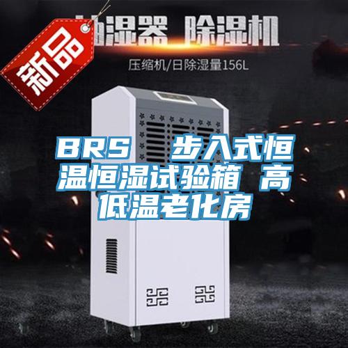 BRS 步入式恒溫恒濕試驗(yàn)箱 高低溫老化房