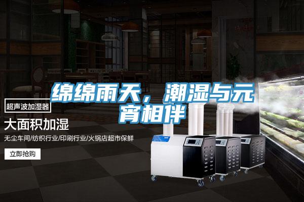 綿綿雨天，潮濕與元宵相伴