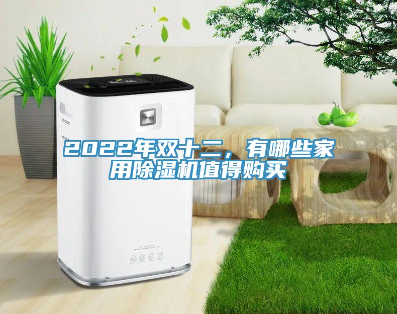 2022年雙十二,有哪些家用除濕機值得購買