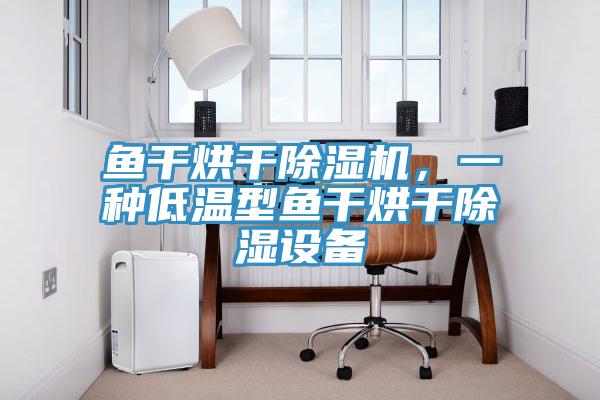 魚干烘干除濕機(jī)，一種低溫型魚干烘干除濕設(shè)備