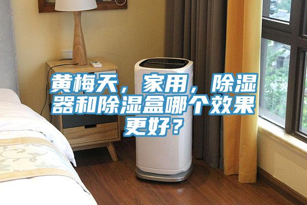 黃梅天,家用,除濕器和除濕盒哪個效果更好?