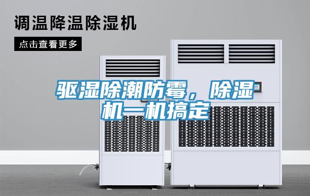 驅(qū)濕除潮防霉,除濕機(jī)一機(jī)搞定
