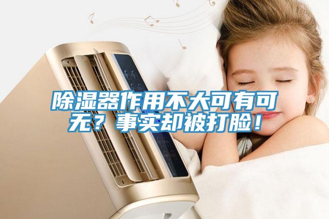 除濕器作用不大可有可無？事實卻被打臉！
