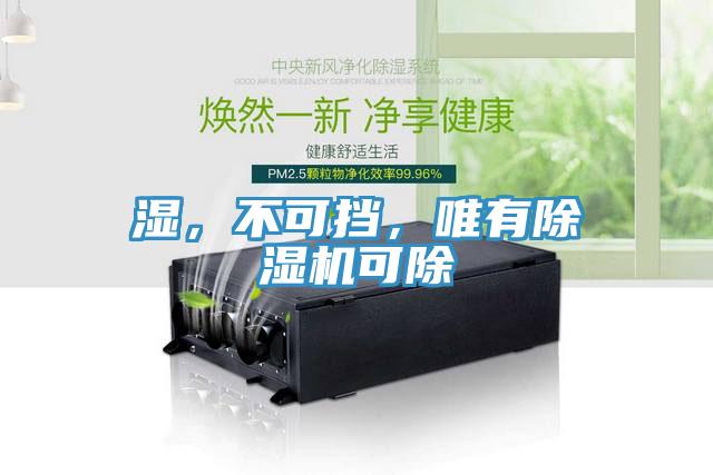 濕，不可擋，唯有除濕機可除