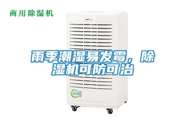雨季潮濕易發(fā)霉，除濕機(jī)可防可治