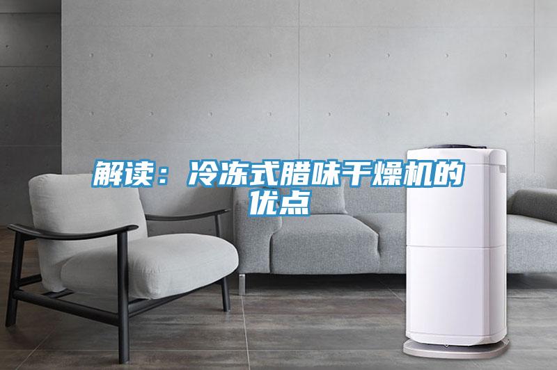 解讀：冷凍式臘味干燥機的優點