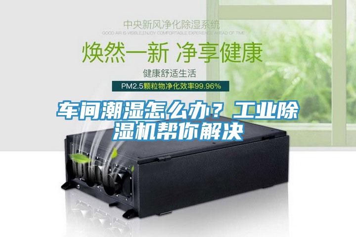 車間潮濕怎么辦？工業(yè)除濕機(jī)幫你解決