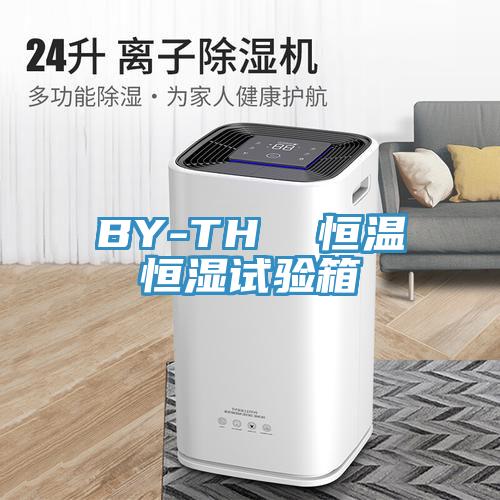 BY-TH 恒溫恒濕試驗(yàn)箱
