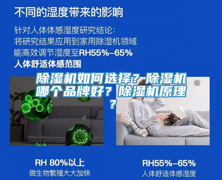 除濕機如何選擇？除濕機哪個品牌好？除濕機原理？