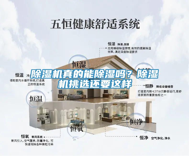 除濕機真的能除濕嗎？除濕機挑選還要這樣