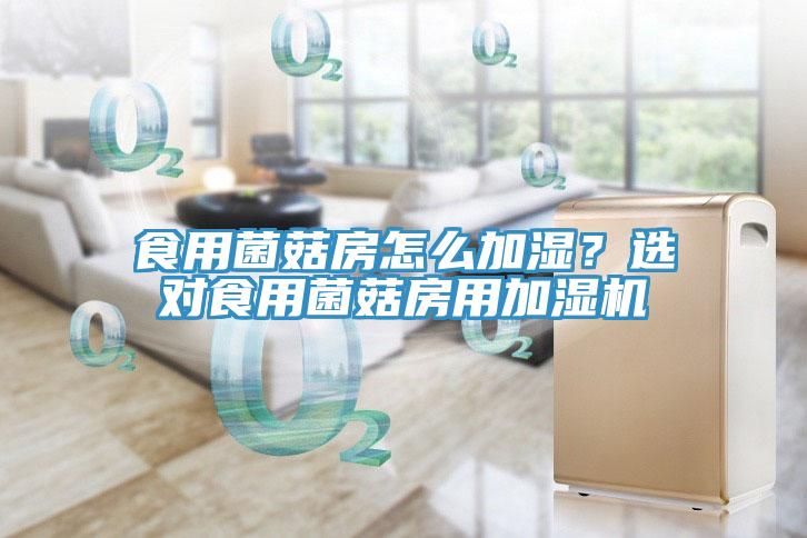 食用菌菇房怎么加濕？選對食用菌菇房用加濕機(jī)