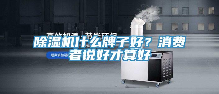 除濕機什么牌子好？消費者說好才算好