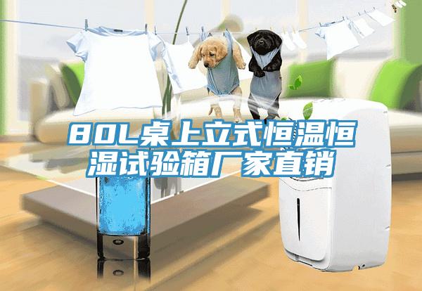 80L桌上立式恒溫恒濕試驗箱廠家直銷