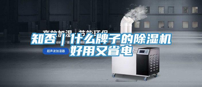 知否|什么牌子的除濕機好用又省電