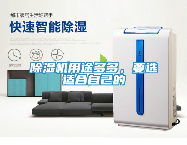 除濕機用途多多,要選適合自己的