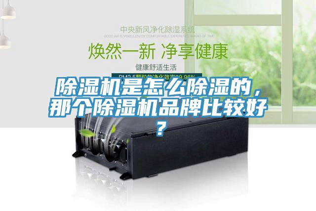 除濕機是怎么除濕的，那個除濕機品牌比較好？