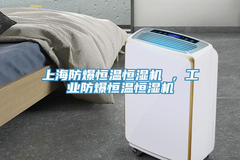 上海防爆恒溫恒濕機 ,工業防爆恒溫恒濕機