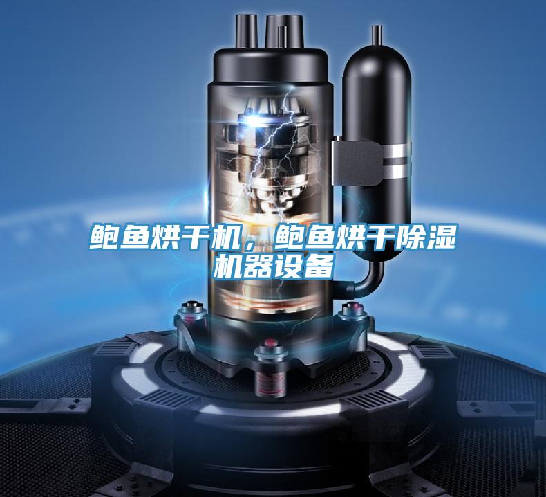 鮑魚烘干機，鮑魚烘干除濕機器設備