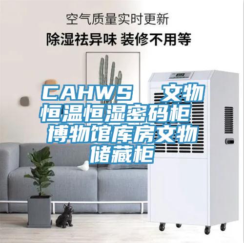 CAHWS 文物恒溫恒濕密碼柜 博物館庫房文物儲(chǔ)藏柜