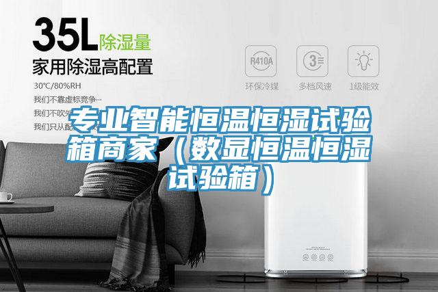 專業智能恒溫恒濕試驗箱商家（數顯恒溫恒濕試驗箱）