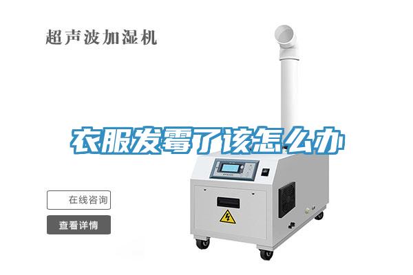 衣服發霉了該怎么辦
