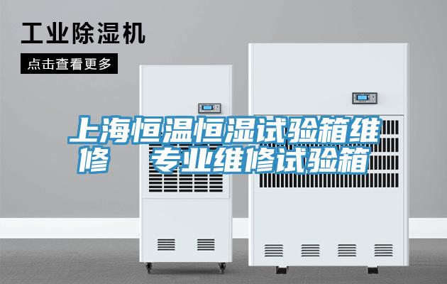 上海恒溫恒濕試驗(yàn)箱維修 專業(yè)維修試驗(yàn)箱