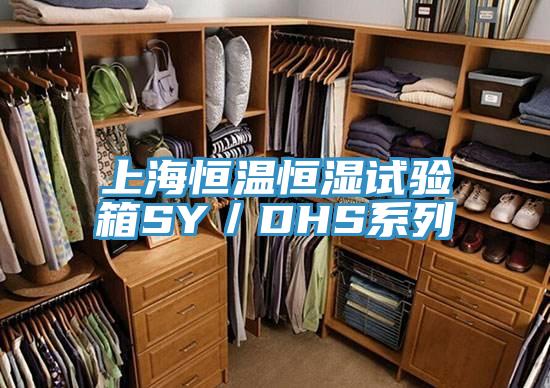 上海恒溫恒濕試驗(yàn)箱SY/DHS系列