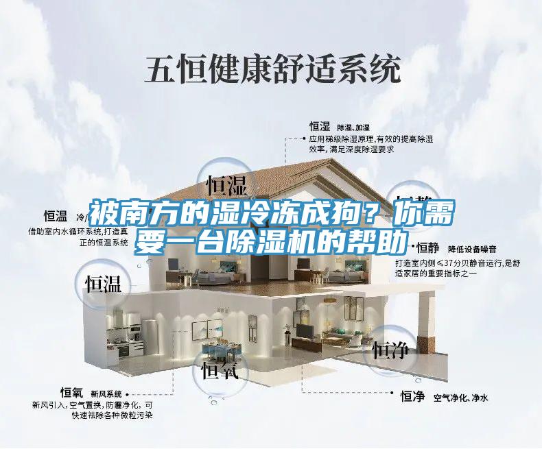 被南方的濕冷凍成狗？你需要一臺除濕機的幫助