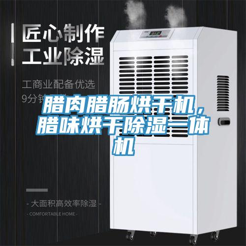 臘肉臘腸烘干機，臘味烘干除濕一體機
