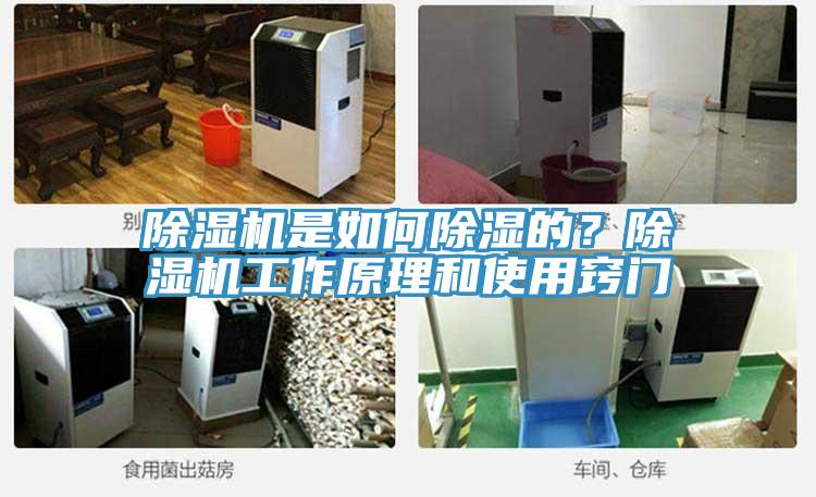 除濕機是如何除濕的？除濕機工作原理和使用竅門
