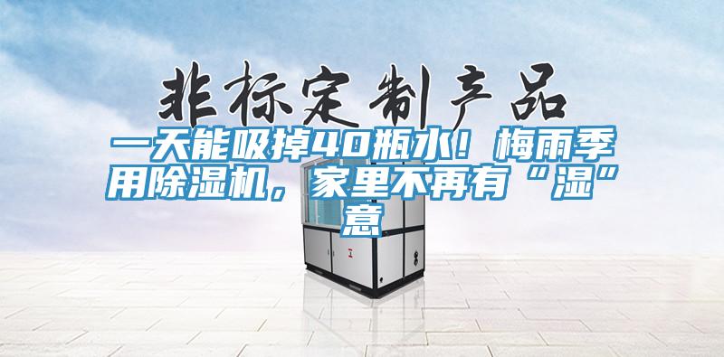 一天能吸掉40瓶水！梅雨季用除濕機(jī)，家里不再有“濕”意