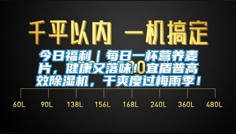 今日福利｜每日一杯營養麥片，健康又落味！宜盾普高效除濕機，干爽度過梅雨季！