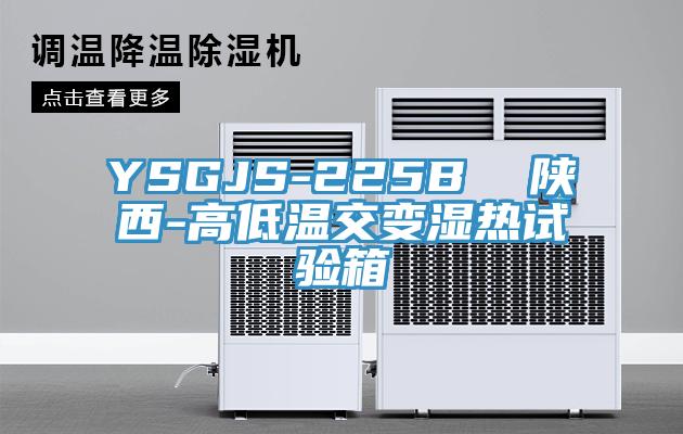 YSGJS-225B 陜西-高低溫交變濕熱試驗箱