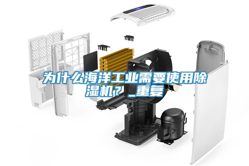 為什么海洋工業需要使用除濕機？_重復